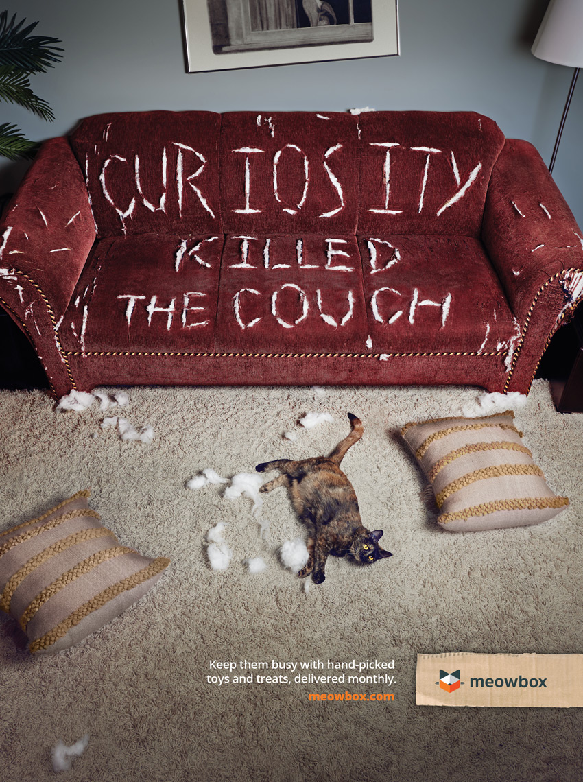 02Meowbox_Couch