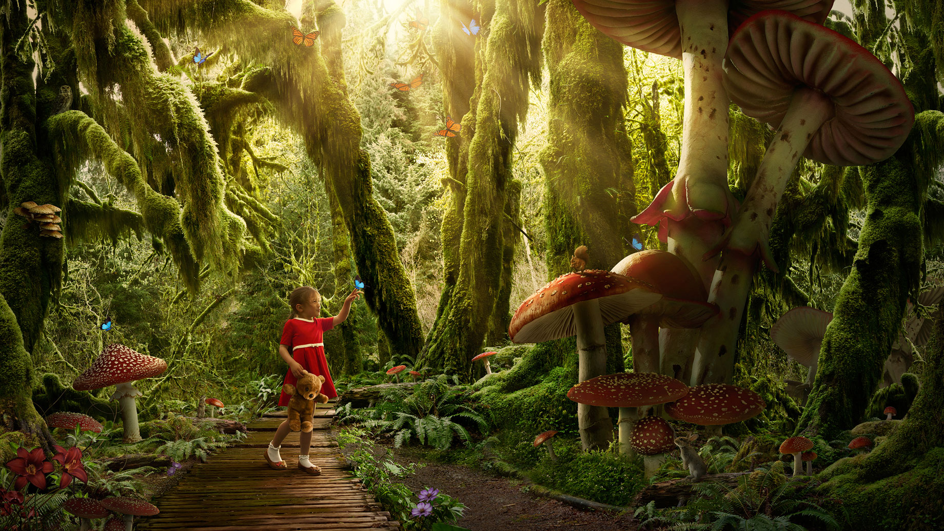ChildrensDreams_EnchantedForest